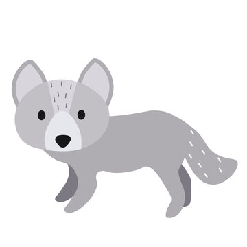 Grey wolf isolated on white background