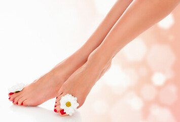 Beautiful female legs with daisy flower on an abstract blurred background.