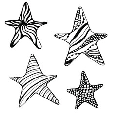 Vector set sea stars . Line drawing illustration. illustration of sea stars on white background.