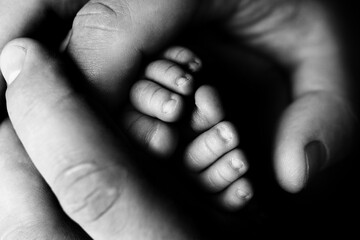 Children's feet in hold hands of mother and father on white. Mother, father and newborn Child. Happy Family people concept. Black and white.