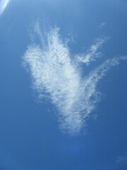 heart shaped clouds