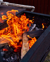 Obraz premium fire in the fireplace