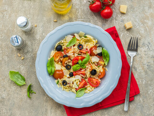 Salad with orzo pasta, tomatoes, olives and parmesan in a gray plate on a gray concrete background. Pasta salad recipes.
