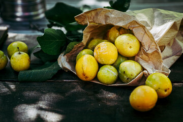 Petites prunes jaune reine-claude fraichement cueillies au jardin