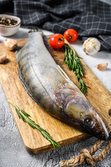 Zander, walleye with herbs. Raw fish. Gray background. Top view