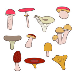 Mushrooms set. Cartoon mushrooms vector isolated vector image on white background.