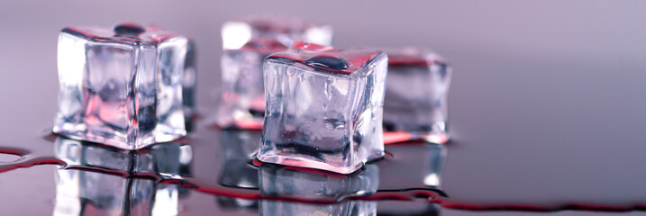 Wet ice cubes in a puddle of water, close up, banner photo