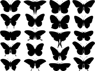 Black butterfly silhouettes. Outline butterflies romantic tattoo, tropical insects stencil. Summer and spring exotic symbols isolated vector set. Elegant wild flying moth of various shapes - obrazy, fototapety, plakaty