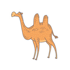 Cute camel animal. Cartoon colorful character illustration.