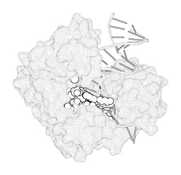 molecular structure diagram, white background clip art preview