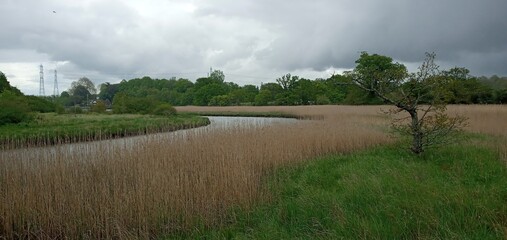 Storm Clouds over the River