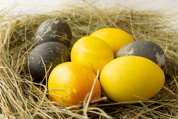 Easter eggs covered with natural dyes are in the nest. Easter still life. Eggs colored with turmeric and hibiscus lie in the hay.