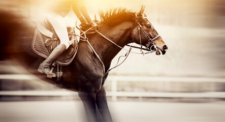 The horse overcomes an obstacle.Show jumping