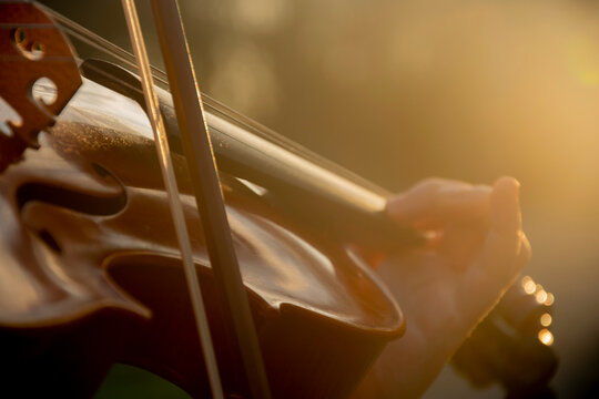 violon 