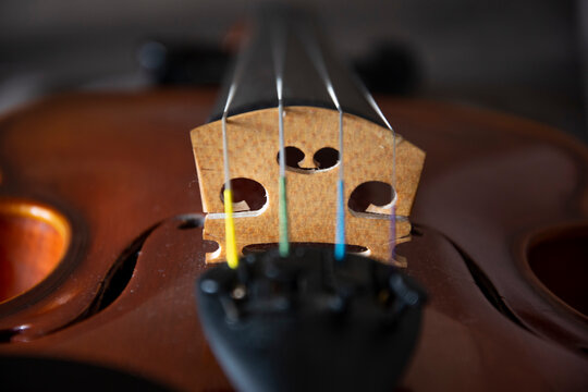 violon 