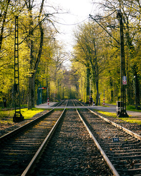 Bahn&uuml;bergang im wald