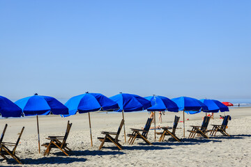 A group of blue umbrellas and beach chairs on an ocean beach.