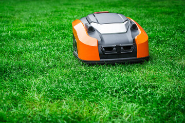 Gazonrobot maait het gazon. Robotmaaier maait gras in de tuin.