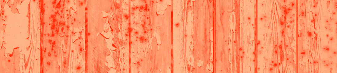 abstract live coral color background for design