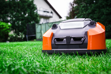 Lawn robot mows the lawn. Robotic Lawn Mower cutting grass in the garden. - 434425986
