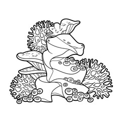 Anemones, coral and and polyps grow on stone coloring book linear drawing isolated on white background