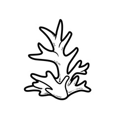 Simple coral object coloring book linear drawing isolated on white background