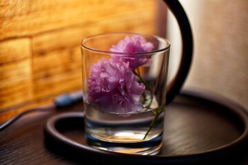 Glass of water on the table. Glass of water on the table. Glass of water flowers. Glass of water. Sakura with glass.