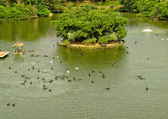 Chimelong Safari Park Guangzhou Sky Safari
