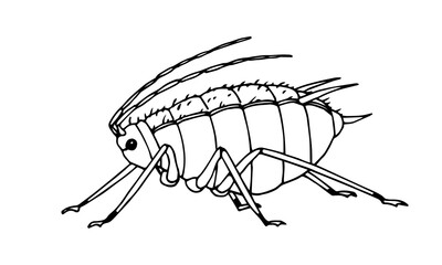 fat aphid side view, voracious insect, parasite, agricultural pest, plant louse, vector illustration with black ink contour lines isolated on a white background in hand drawn style