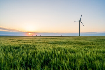 Green wheat field on a farmland at sunset with a wind turbine that produces clean energy through...