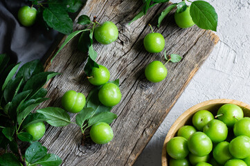 Fresh ripe organic green plums or greengage in bowl on rustic background, heap of summer fruits concept