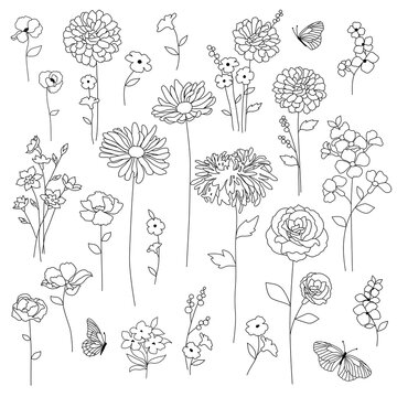 hand drawn botanical flowers black outline drawings
