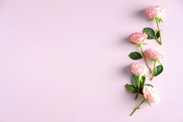 Rose flowers on pink background with copy space. Flat lay, top view. Valentine Day card desig. Love, romance concept.