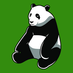 The giant panda Chinese also known as the panda bear or simply the panda