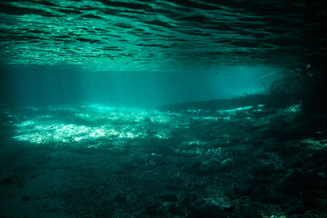 underwater scene with reef
