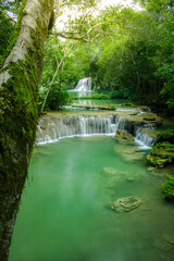 waterfall in the jungle
