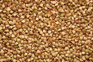 Green organic buckwheat background, gluten free grains.