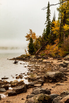 foggy and cloudy autumn morning in Jenny Lake in Grand Teton National Park in Wyoming.