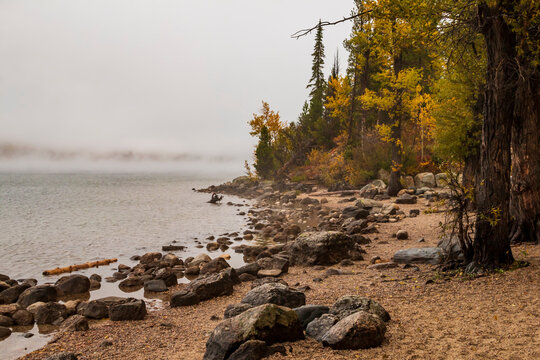 foggy and cloudy autumn morning in Jenny Lake in Grand Teton National Park in Wyoming.