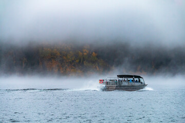 Fototapeta premium foggy and cloudy autumn morning in Jenny Lake in Grand Teton National Park in Wyoming.