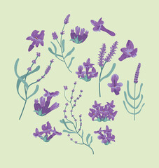 lavender flowers circle