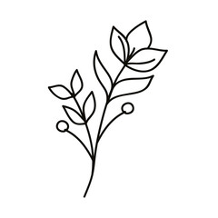 flower and leaves drawn