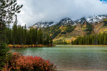 vibrant autumn foliage and snow capped mountains   surround Jenny lake during fall season.