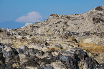奇岩と富士山