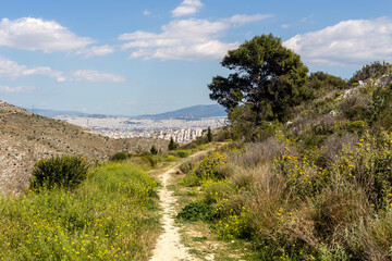 Fototapeta na wymiar Environmental park Peramatos - Schistos in Athens District (Greece)