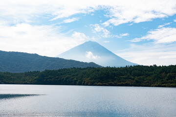富士山 西湖より