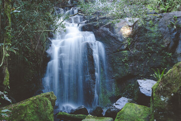Faxinal do CFaxinal do Céu - Pinhão/Paranáéu - Pinhão/Paraná