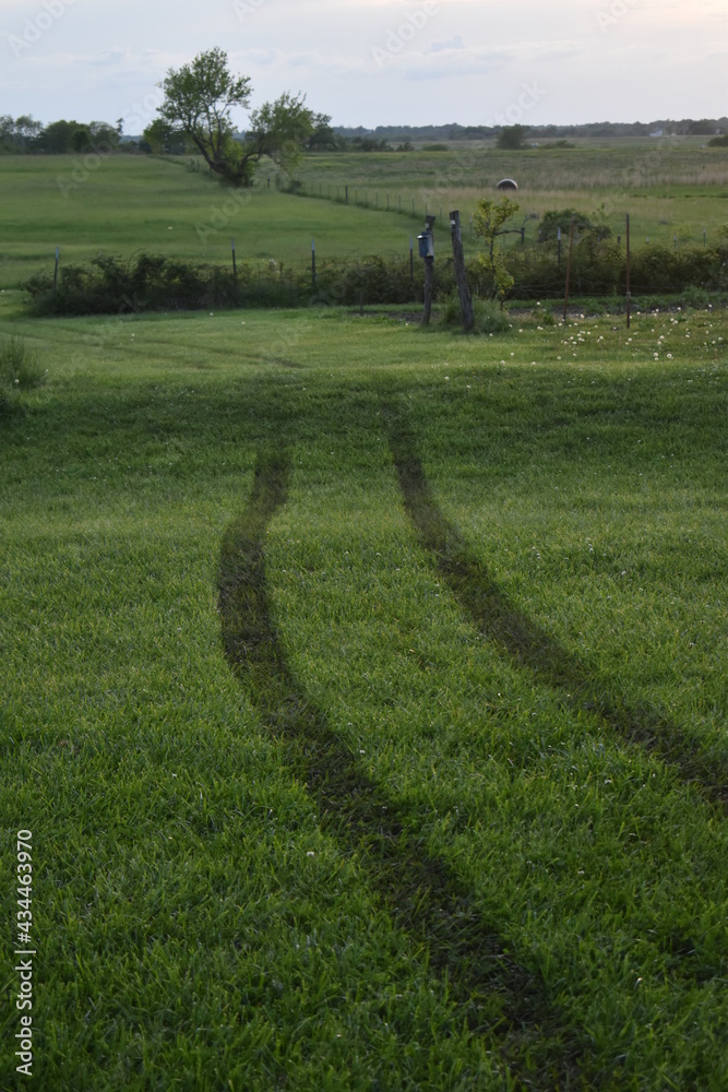 Poster Tire Tracks in a Field