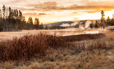 dramatic fiery autumn dawn in Yellowstone's Lower Geyser basin.