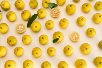 Fototapeta premium 柚子